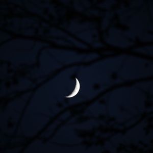 Meet your Posher, Osiris